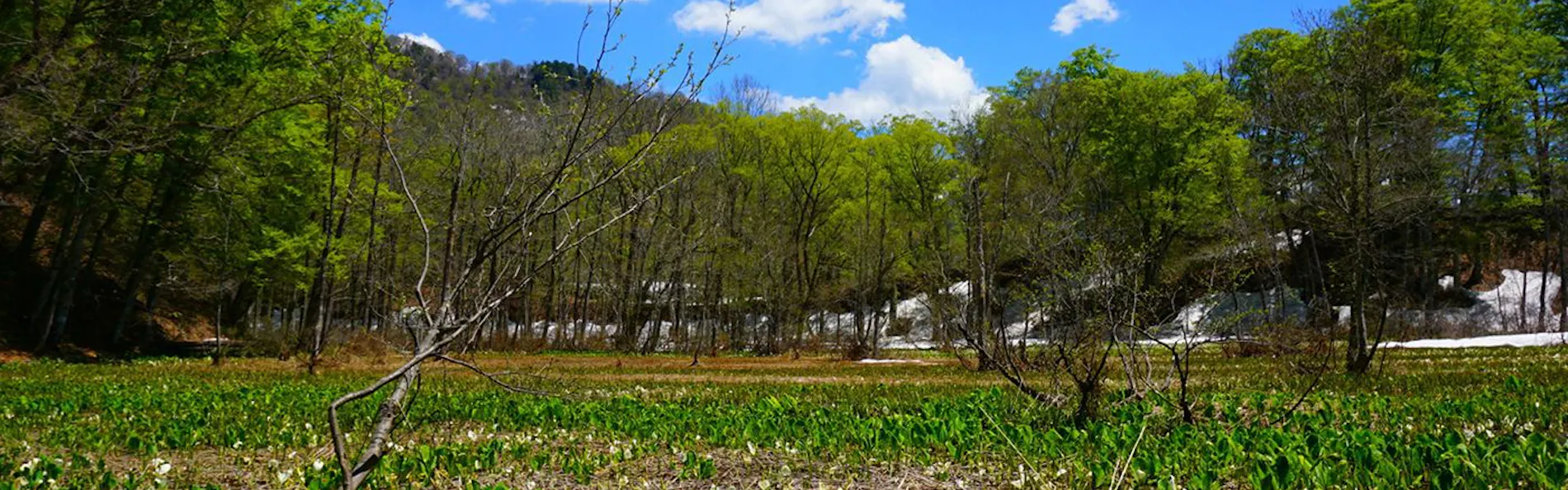 白馬姫川温泉 白馬ハイランドホテル