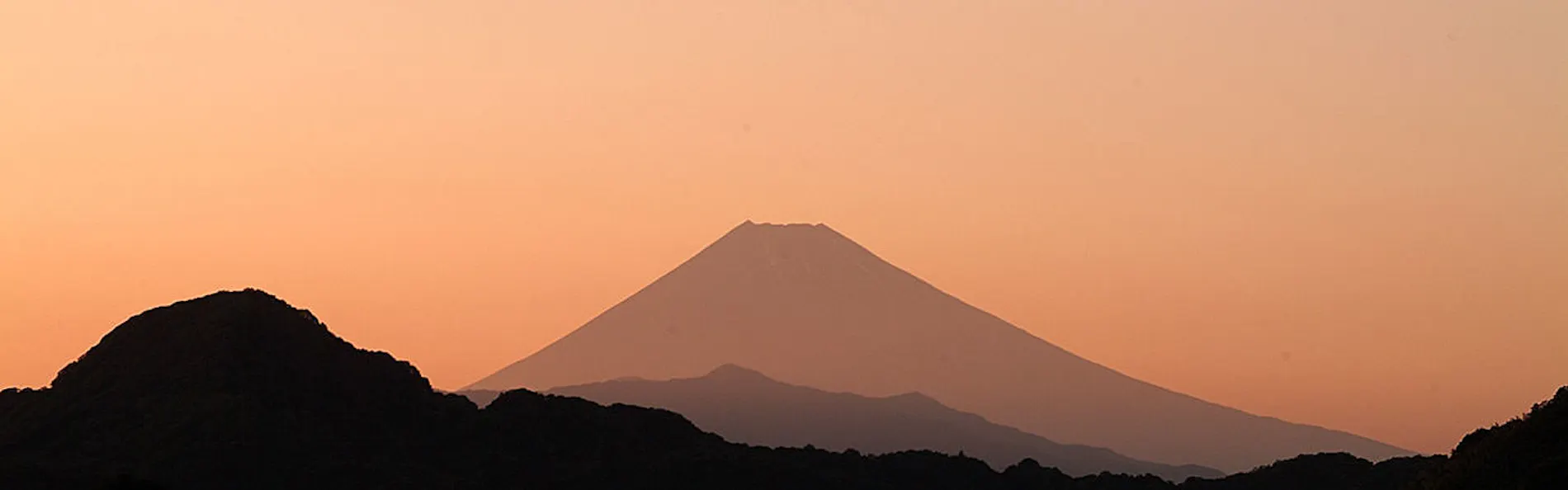 ニュー八景園
