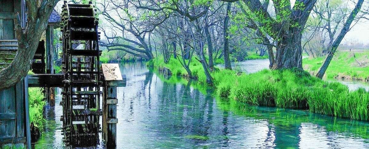 大王わさび農場