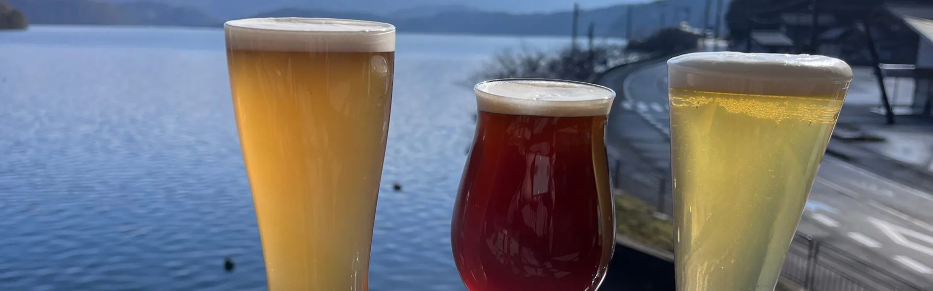 クラフトビールの宿 湖上館パムコ