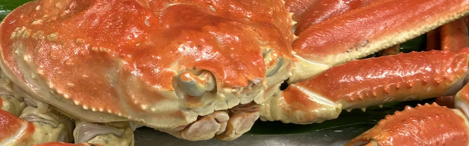 クラフトビールの宿 湖上館パムコ