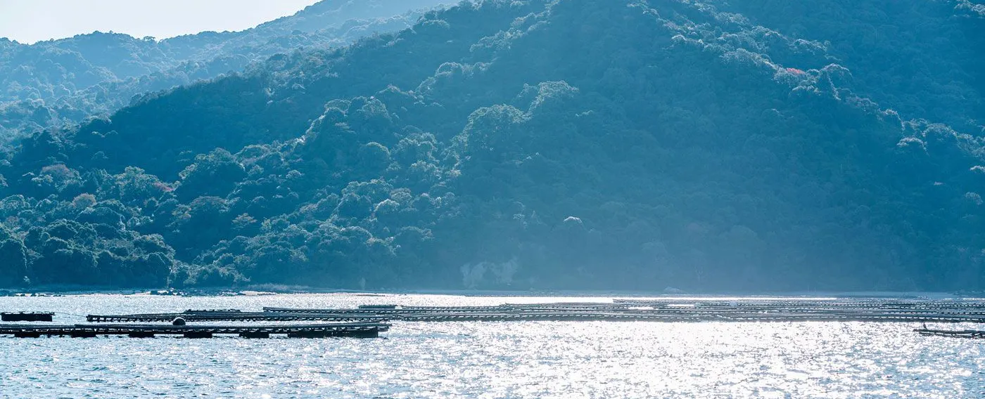 ล่องเรือ