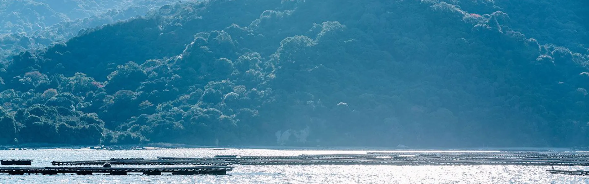 安芸グランドホテル