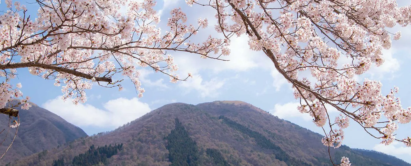 ฤดูใบไม้ผลิ