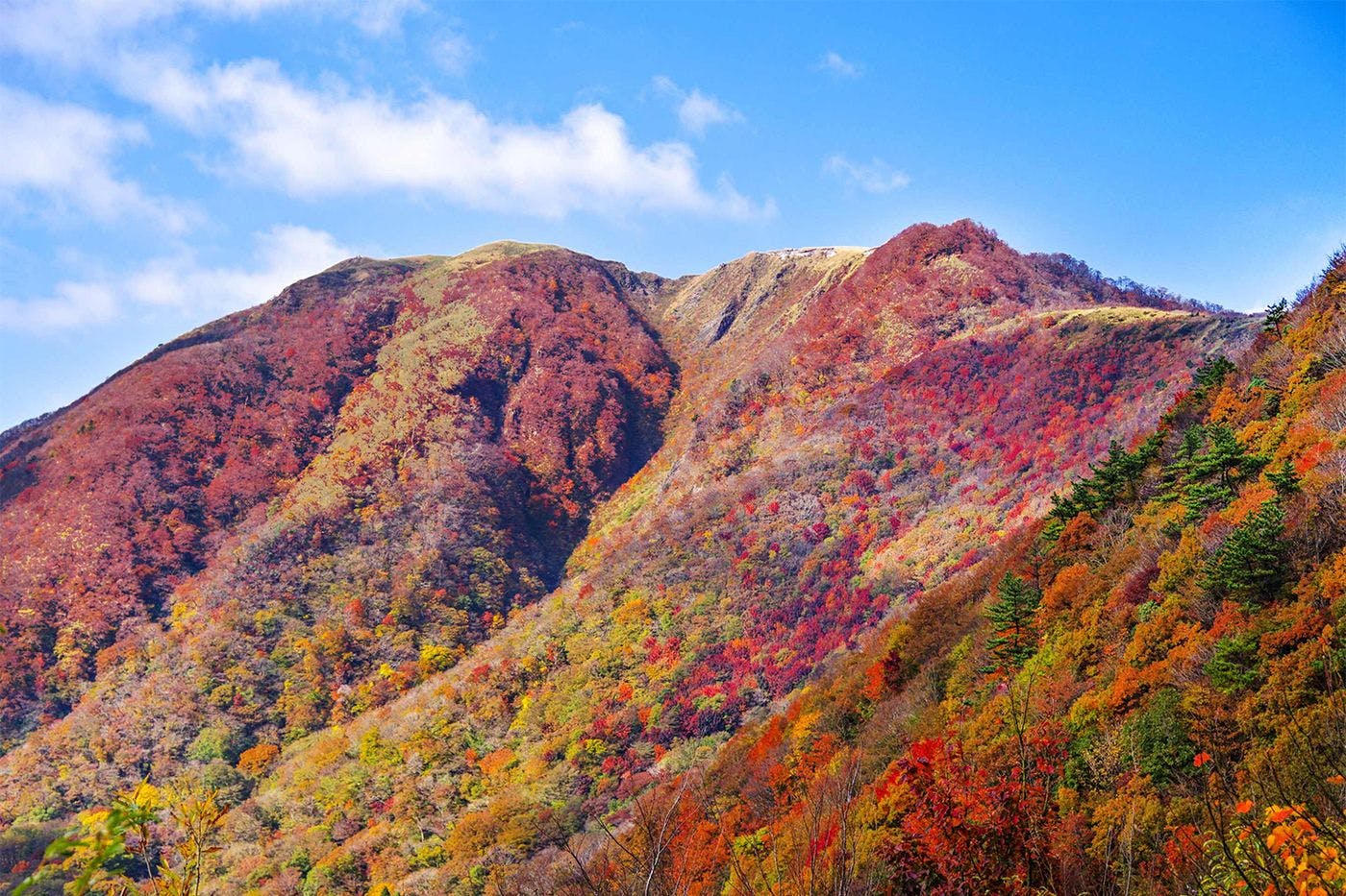 ฤดูใบไม้ร่วง