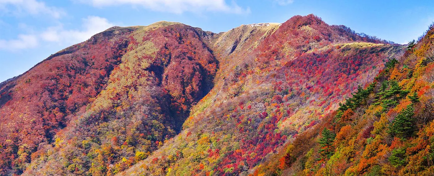 ฤดูใบไม้ร่วง