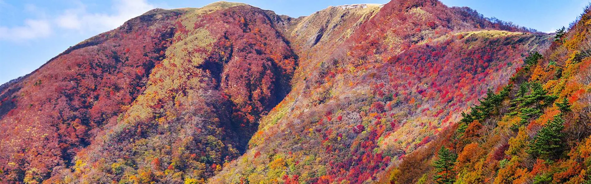 四季の宿 さひめ野