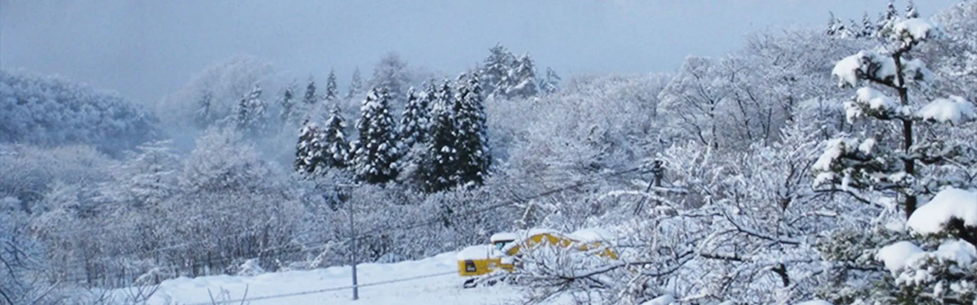 四季の宿 さひめ野