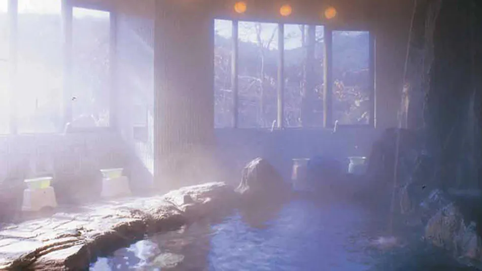 Hotel Hakuryuko Resort