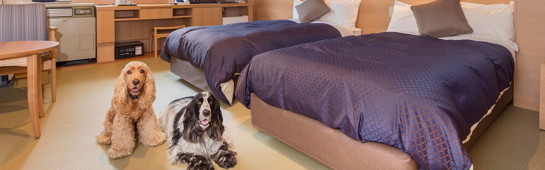 わんわんパラダイス プレミア 山中湖(旧:Wan's Resort 山中湖)