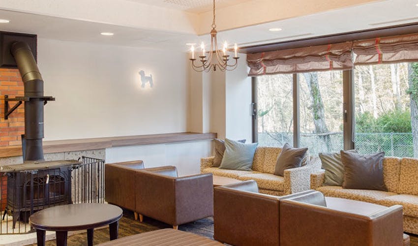 富士山を望む ペットと泊まれる宿 Wan S Resort 山中湖 の宿泊プラン 宿泊予約は 一休 Com キラリト