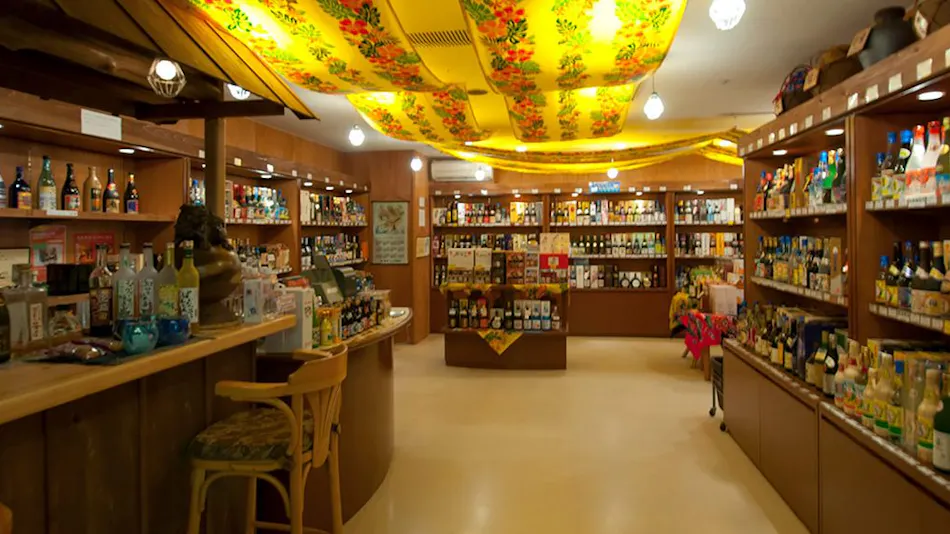 Rizzan Sea-Park Hotel Tancha Bay