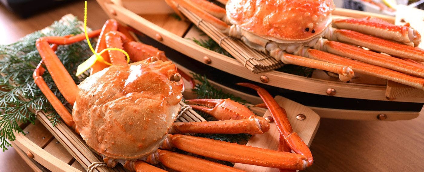 香住蟹 × 松葉蟹