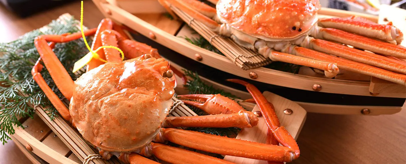 香住蟹 × 松葉蟹