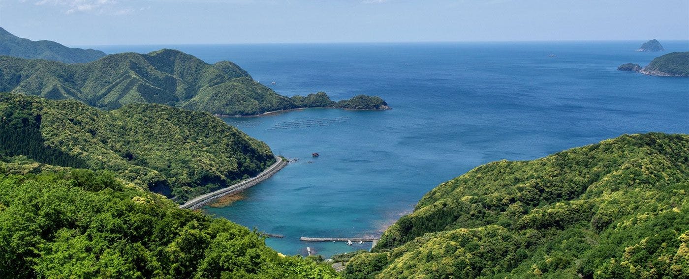 ทัศนียภาพโดยรอบ