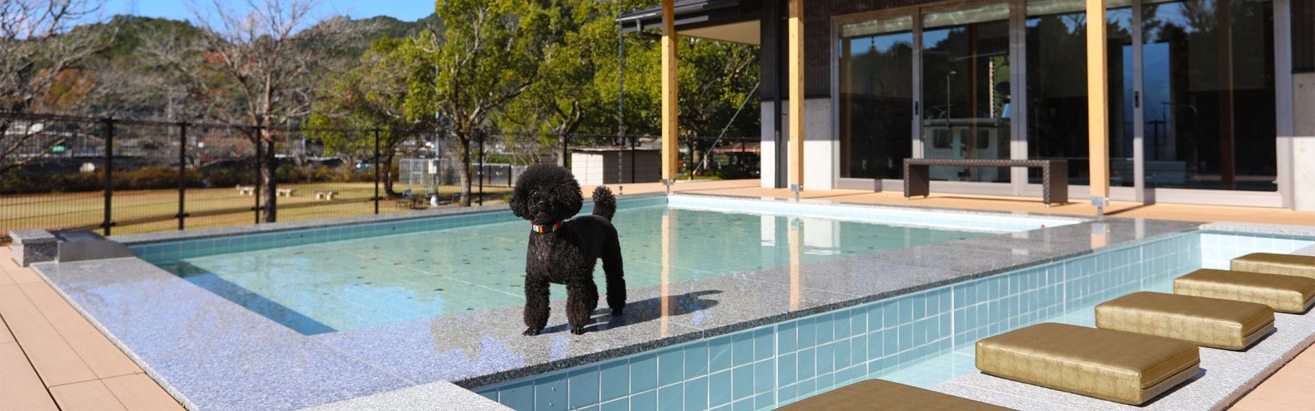 別邸　わんこ日和