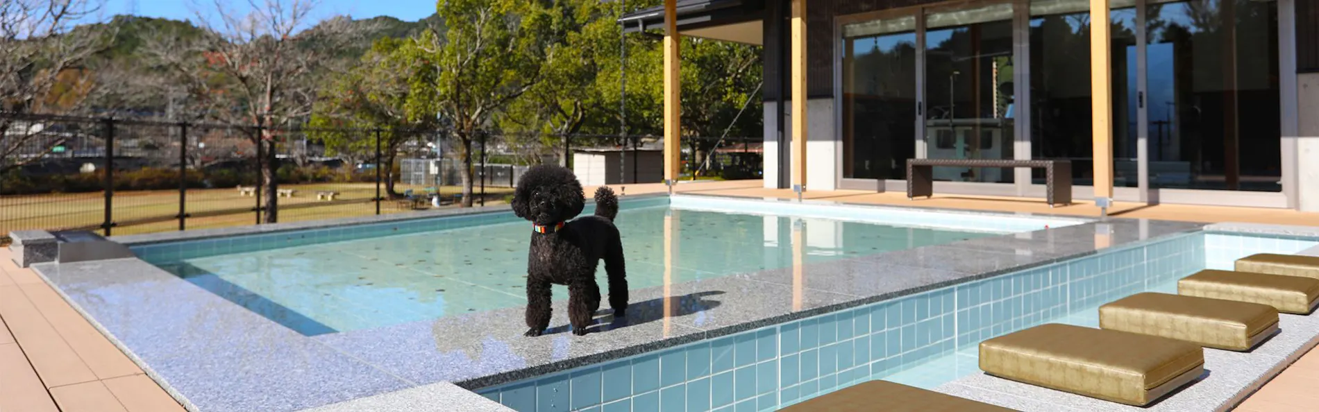 別邸 わんこ日和