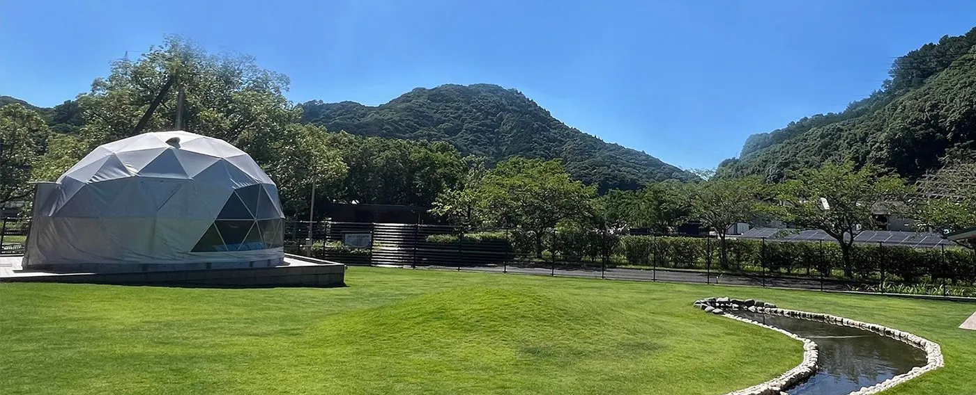ドッグラン