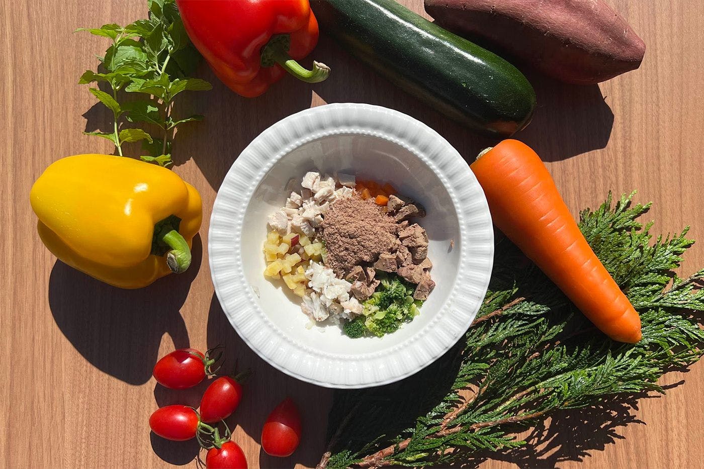 わんちゃん用のお食事 