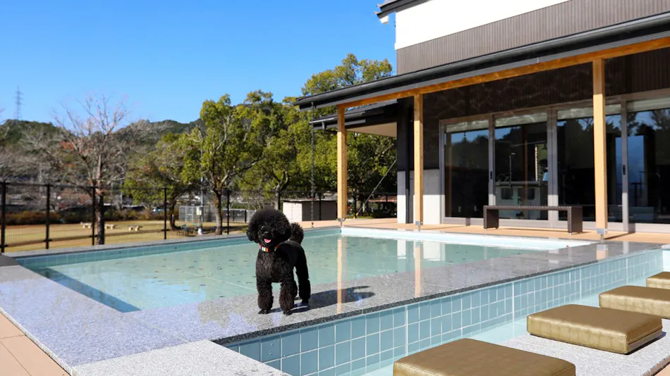 Villa Wanko Biyori