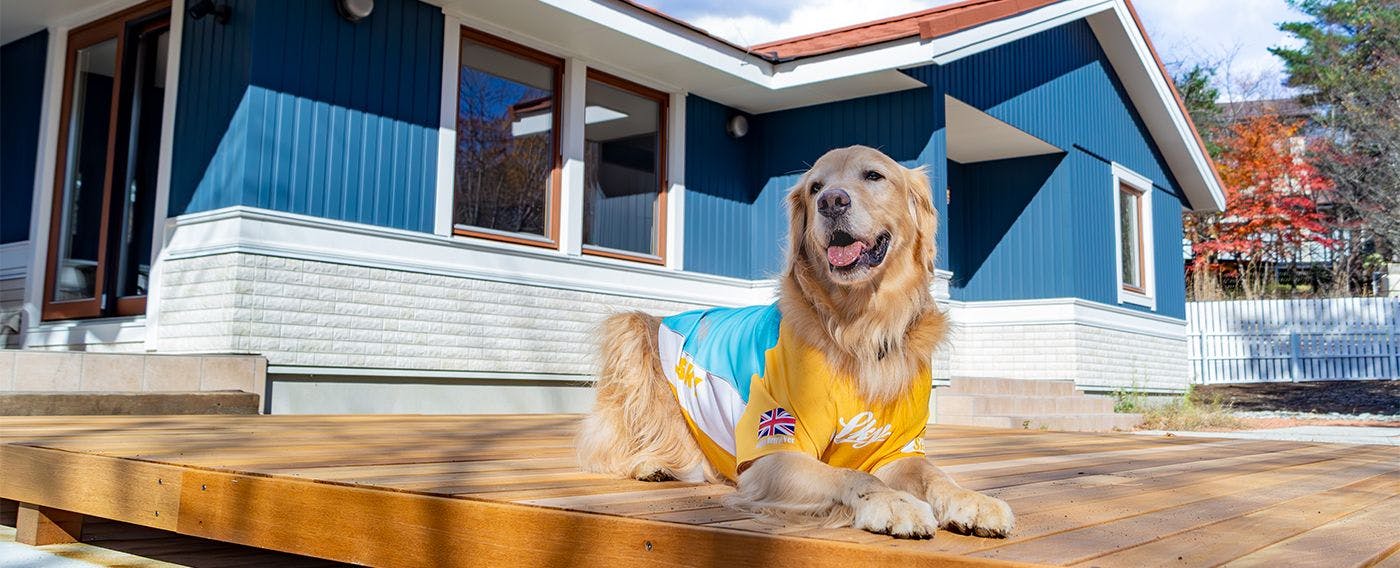 บ้านสวีเดน