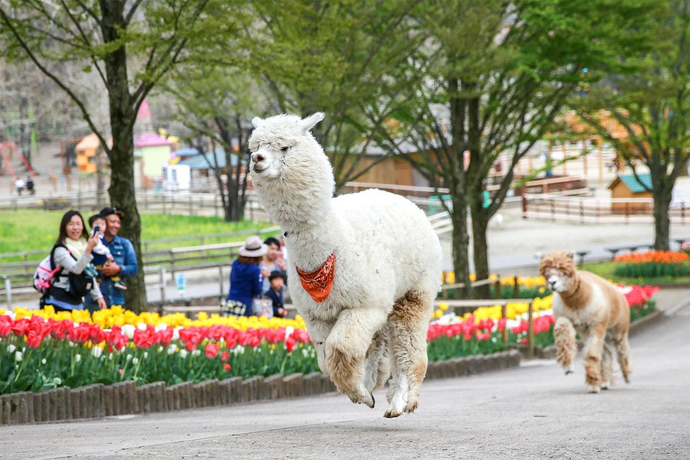 ฟาร์มครอบครัวทะเลสาบรินโด