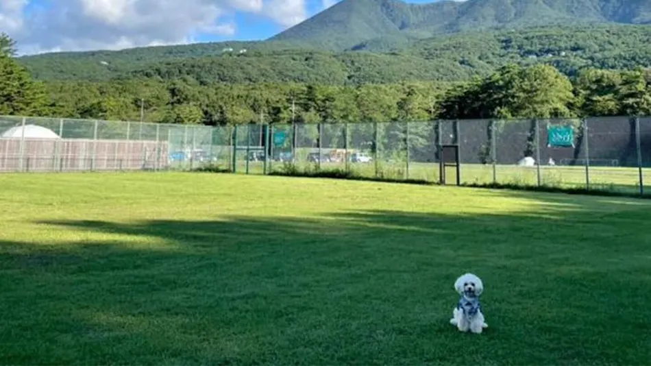 Nasu Highland Park Official Hotel TOWA Pure Cottages