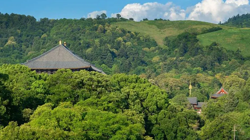 Hotel New Wakasa