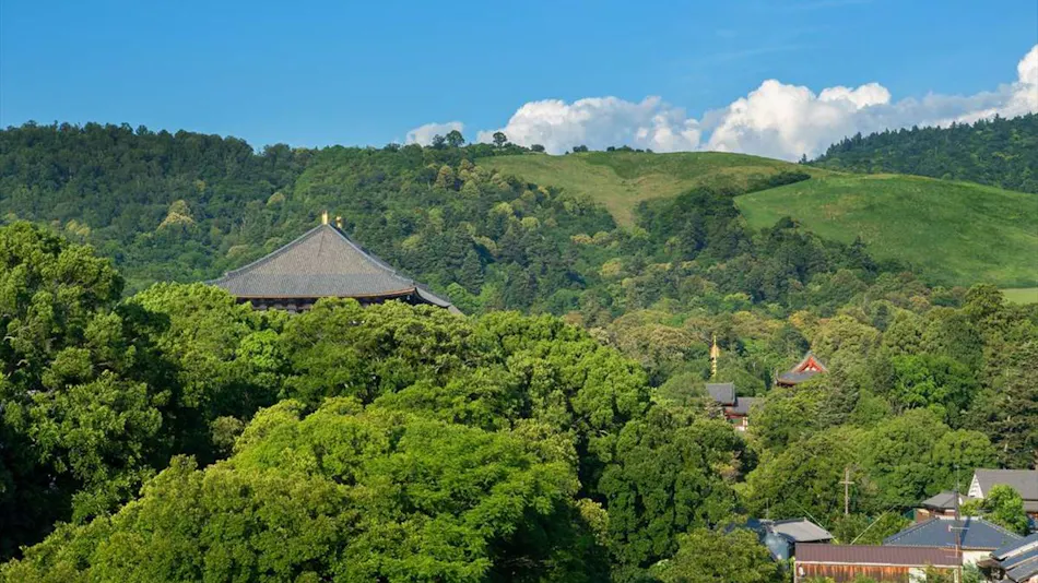 Hotel New Wakasa