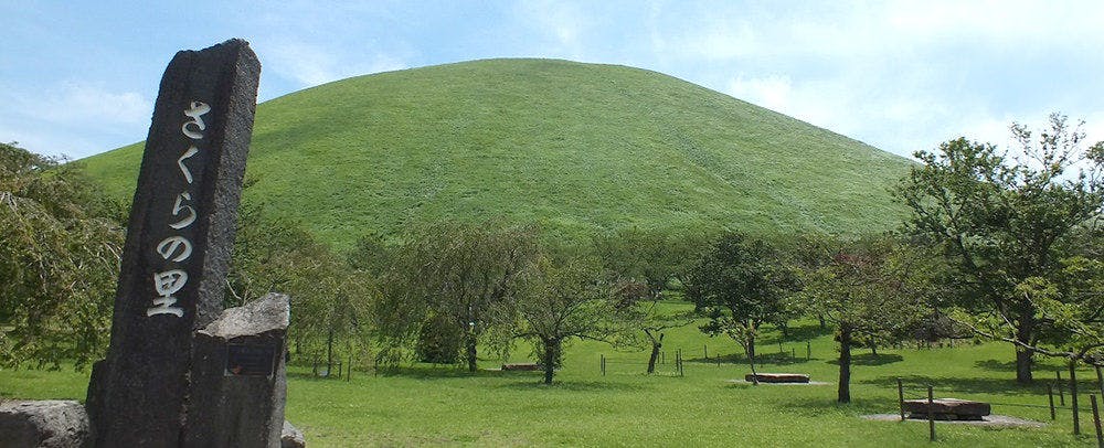 画像d_003.jpg