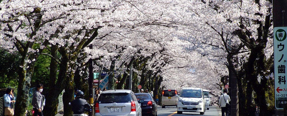 画像d_004.JPG