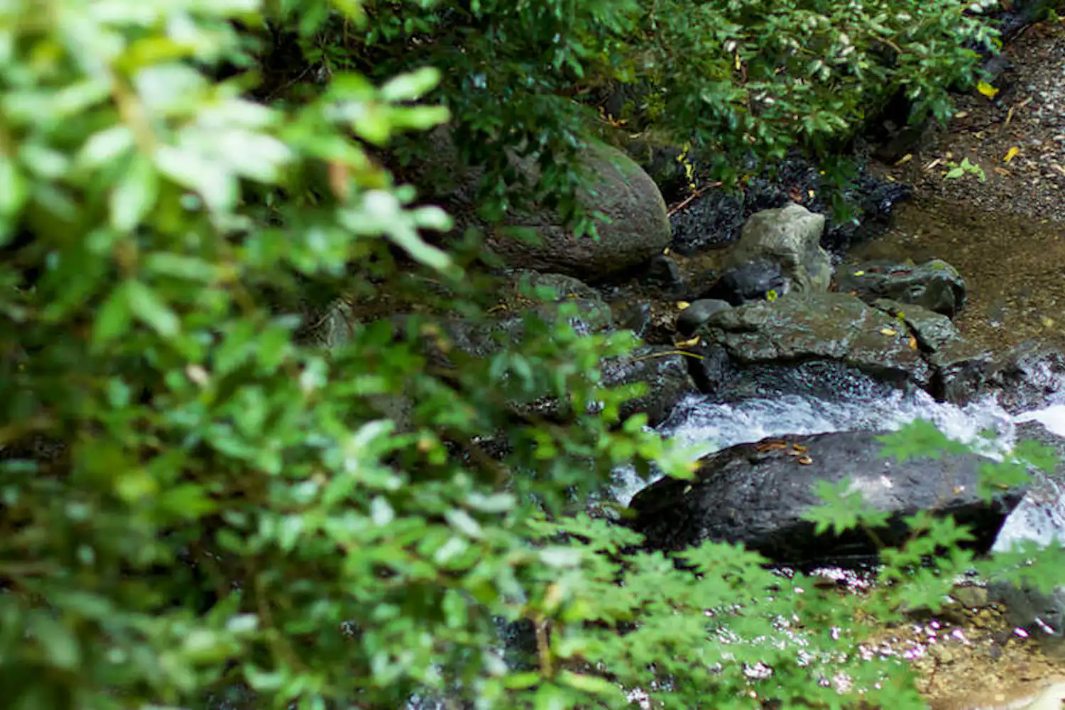 ทิวทัศน์