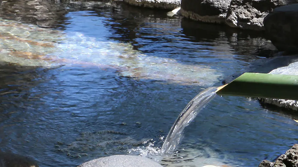 Itamuro Onsen Daikokuya
