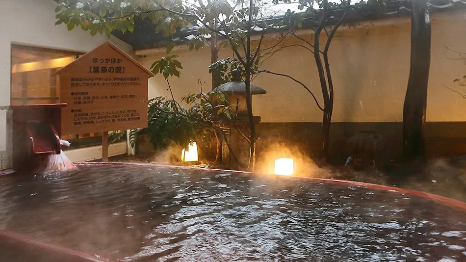 Kamisuwa Onsen Hamanoyu
