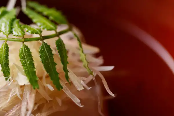 ภาพอาหาร