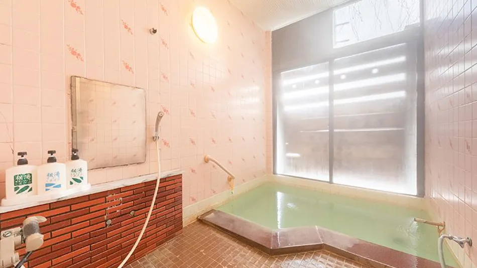 Echigo Matsunoyama Onsen Ryounkaku