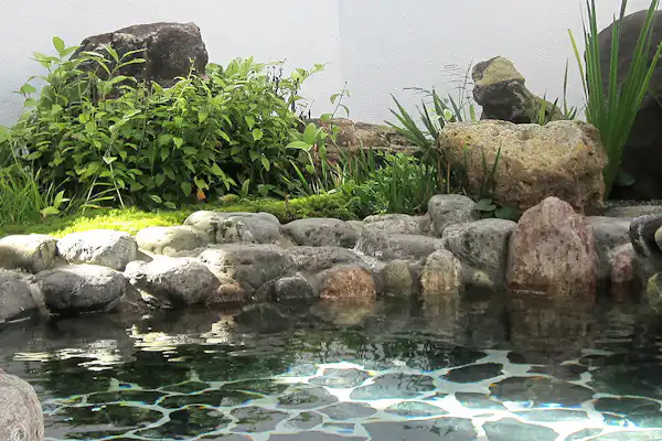 温泉