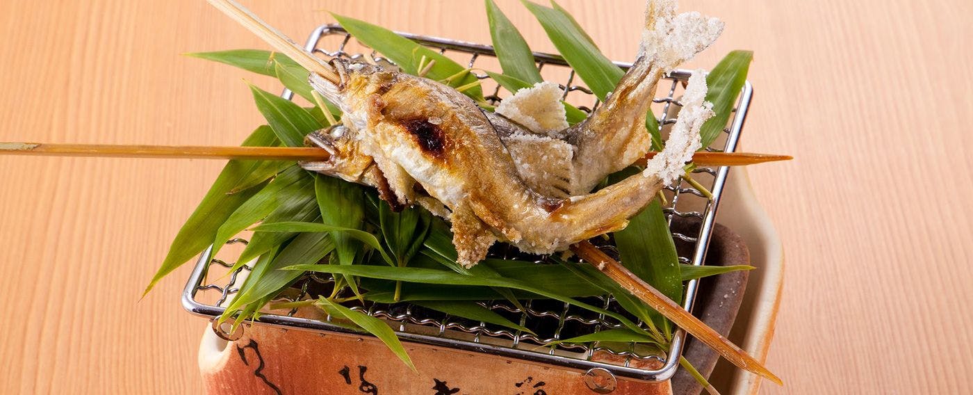 暖灯館きくのや