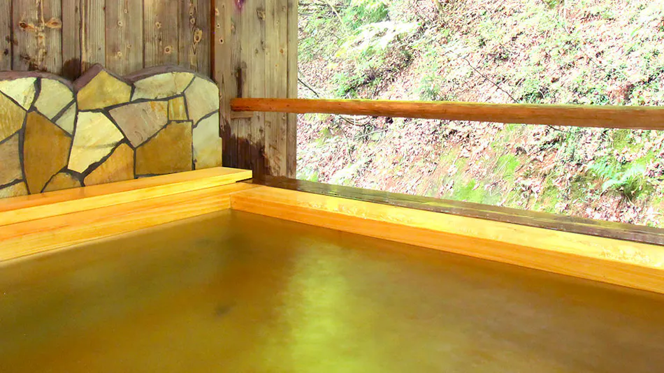 Handmade Soba Inn Yanagiya