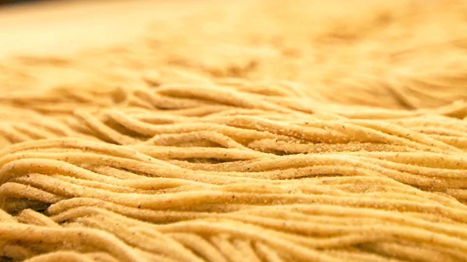 Handmade Soba Inn Yanagiya