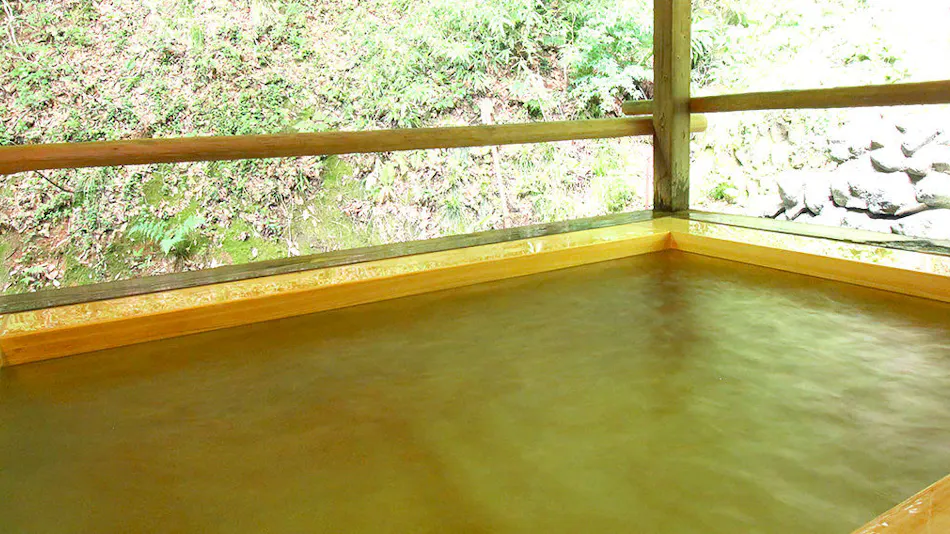 Handmade Soba Inn Yanagiya