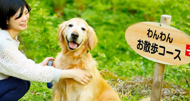 飛騨 高山 白川郷の離れ コテージのお部屋 おすすめホテル 旅館 11選 お得に宿泊予約 Yahoo トラベル Yahoo トラベル 飛騨 高山 白川郷の離れ コテージのお部屋 おすすめホテル 旅館 11選 お得に宿泊予約 Yahoo トラベル Yahoo トラベル