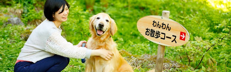 飛騨 高山 白川郷のペットokの カップル 夫婦におすすめのホテル 旅館 宿泊予約は 一休 Com 飛騨 高山 白川郷のペットokの カップル 夫婦におすすめのホテル 旅館 宿泊予約は 一休 Com