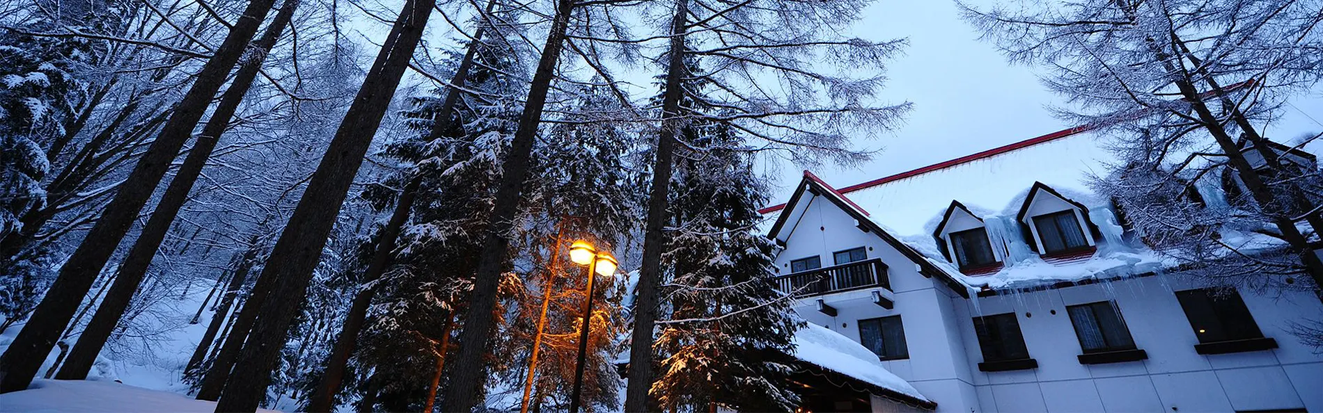 わんわんパラダイス 高山(旧:高山わんわんパラダイス ホテル&コテージ)