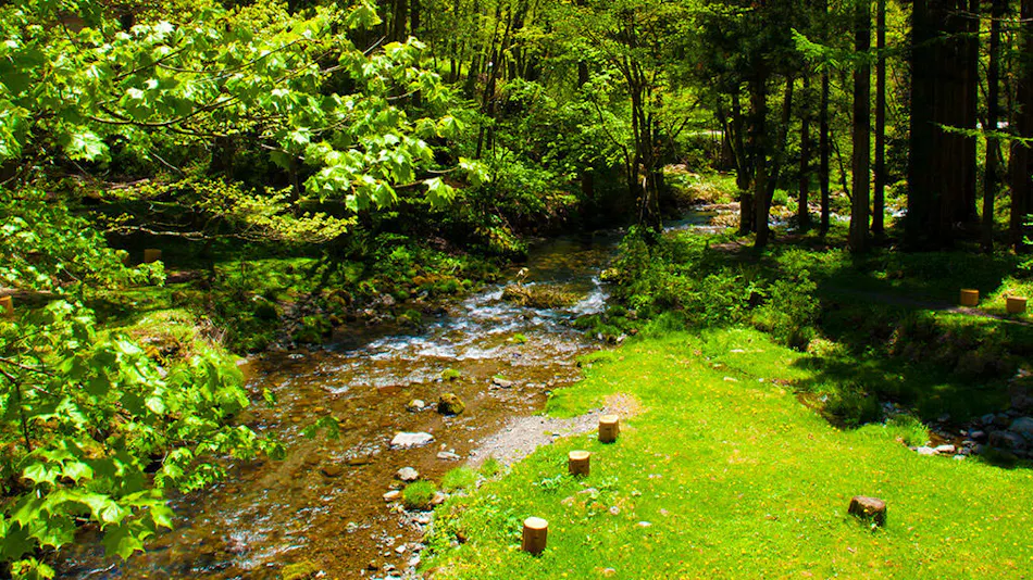 Wan Wan Paradise Takayama