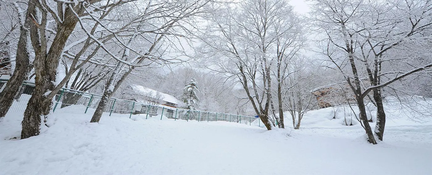 雪のドッグラン