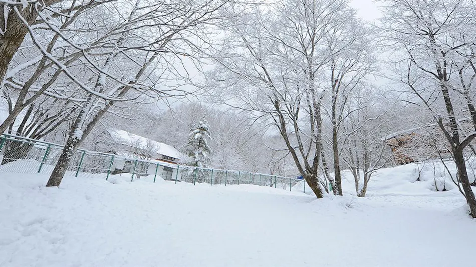 Wan Wan Paradise Takayama