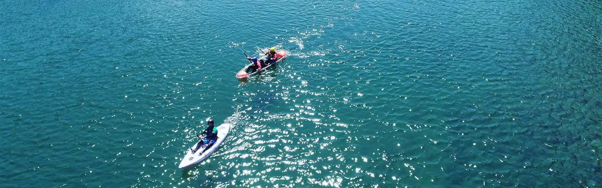 アクティビティ