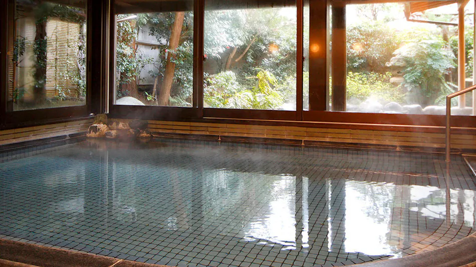 Tamatsukuri Onsen Gensen Kakenagashi no Yado Yujin Chiyonoyu