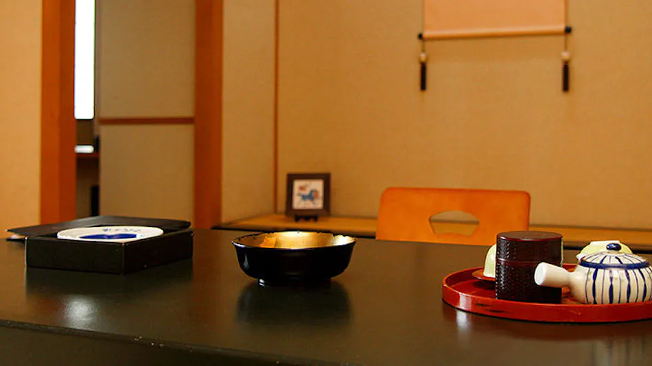Tamatsukuri Onsen Gensen Kakenagashi no Yado Yujin Chiyonoyu